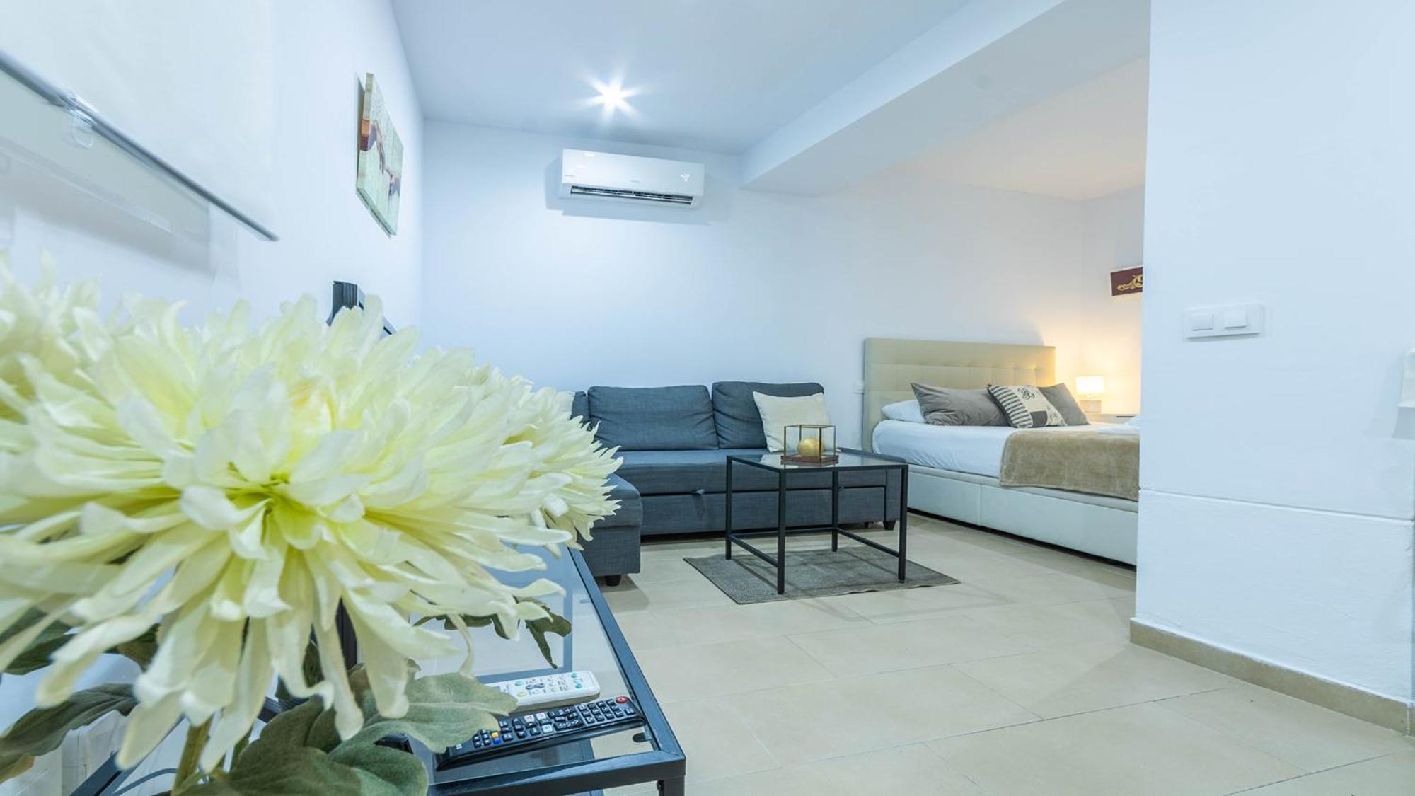 Natural Center Appartement *